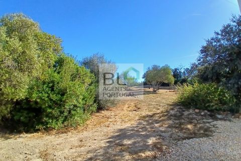 Villa i Olhao, Faro, Olhao - € 695.000 | Ref: BLDNHAB_806 - foto 15