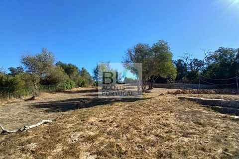 Villa i Olhao, Faro, Olhao - € 695.000 | Ref: BLDNHAB_806 - foto 17