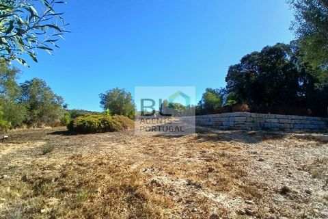 Villa i Olhao, Faro, Olhao - € 695.000 | Ref: BLDNHAB_806 - foto 20