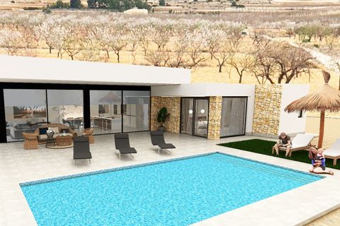 Villa i Pinoso, Alicante, Pinoso - € 565.000 | Ref: AM-AM-CRISTAL - foto 2