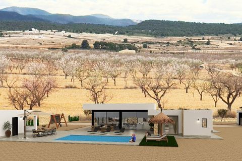 Villa i Pinoso, Alicante, Pinoso - € 565.000 | Ref: AM-AM-CRISTAL - foto 3