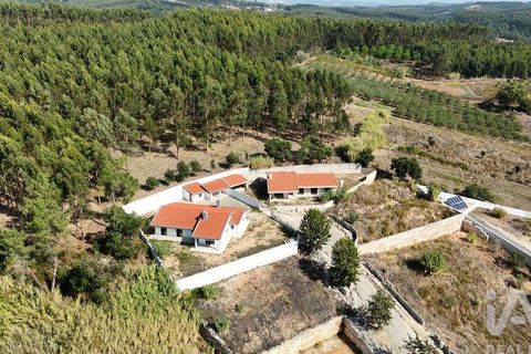Byhus i Rio Maior, Santarem, Rio Maior - € 450.000 | Ref: 152512 - foto 29