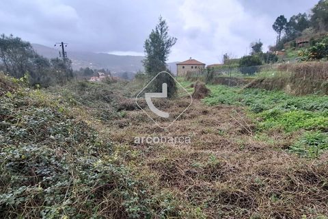Helårsgrund i Ponte de Lima, Viana do Castelo, Ponte de Lima - € 30.000 | Ref: AV6443 - foto 15