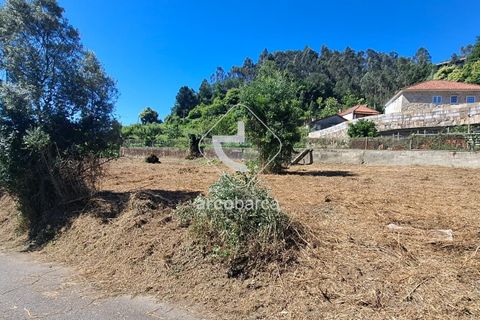 Helårsgrund i Ponte de Lima, Viana do Castelo, Ponte de Lima - € 30.000 | Ref: AV6443 - foto 5