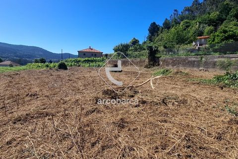 Helårsgrund i Ponte de Lima, Viana do Castelo, Ponte de Lima - € 30.000 | Ref: AV6443 - foto 6