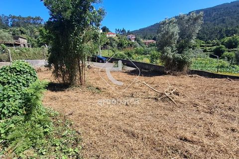 Helårsgrund i Ponte de Lima, Viana do Castelo, Ponte de Lima - € 30.000 | Ref: AV6443 - foto 7