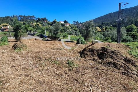 Helårsgrund i Ponte de Lima, Viana do Castelo, Ponte de Lima - € 30.000 | Ref: AV6443 - foto 9