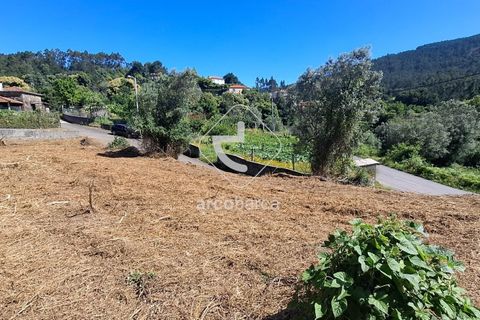 Helårsgrund i Ponte de Lima, Viana do Castelo, Ponte de Lima - € 30.000 | Ref: AV6443 - foto 11