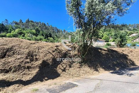 Helårsgrund i Ponte de Lima, Viana do Castelo, Ponte de Lima - € 30.000 | Ref: AV6443 - foto 12
