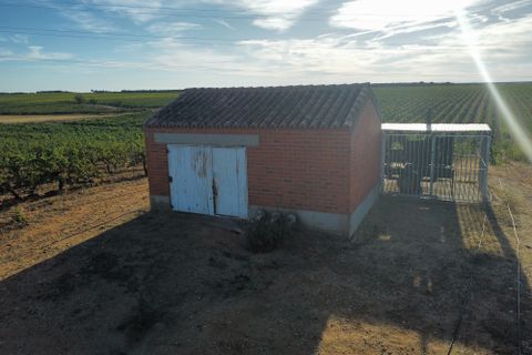 Tomt i Rueda, Valladolid, Rueda - € 1 250 000 | Ref: 2649 - foto 11