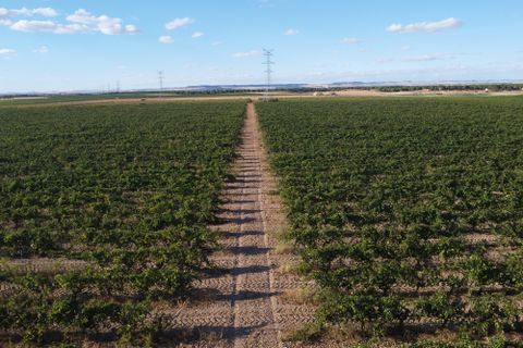 Tomt i Rueda, Valladolid, Rueda - € 1 250 000 | Ref: 2649 - foto 22