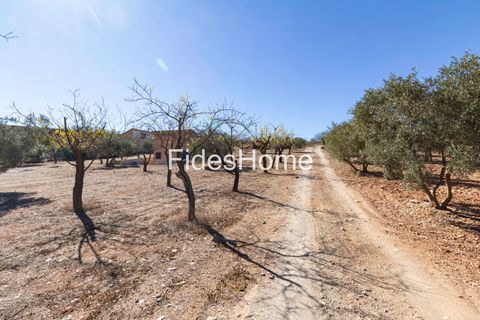 Terra a Acequias, Granada, Acequias - € 195.000 | Ref: 109838813 - foto 6