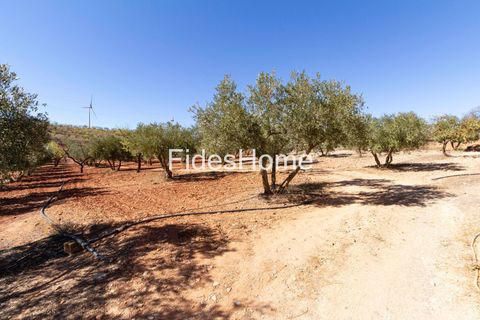 Terra a Acequias, Granada, Acequias - € 195.000 | Ref: 109838813 - foto 9