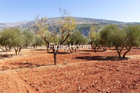Terra a Acequias, Granada, Acequias - € 195.000 | Ref: 109838813 - foto 12