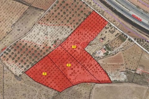 Terra a Acequias, Granada, Acequias - € 195.000 | Ref: 109838813 - foto 37