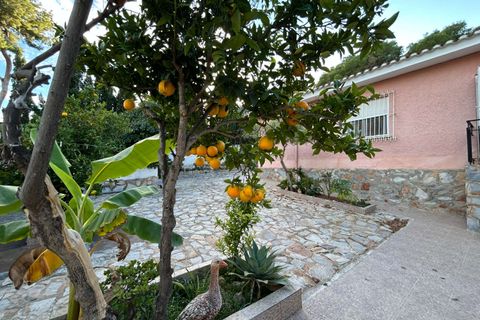 Villa i Torrevieja, Alicante, Torrevieja - € 470.000 | Ref: C-1170 - foto 43