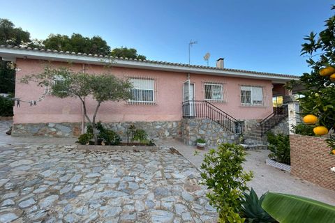 Villa i Torrevieja, Alicante, Torrevieja - € 470.000 | Ref: C-1170 - foto 44