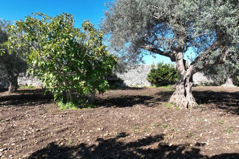 Villa i Modica, Ragusa, Modica - € 120.000 | Ref: V 164 - foto 27