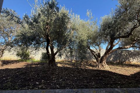 Villa i Modica, Ragusa, Modica - € 120.000 | Ref: V 164 - foto 37