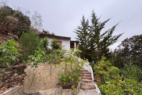 Landejendom i Almogia, Malaga, Almogia - € 300.000 | Ref: d04b08a0-5d79-4d6f-a - foto 25