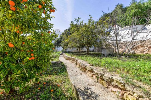 Villa a Lagoa, Faro, Lagoa - € 1.167.650 | Ref: 119250045 - foto 13