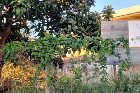 Byhus i Torres Novas, Santarem, Torres Novas - € 69.000 | Ref: 745510 - foto 11
