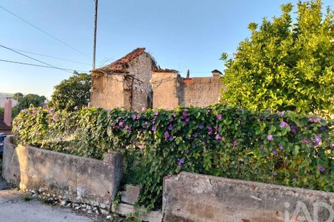 Byhus i Torres Novas, Santarem, Torres Novas - € 69.000 | Ref: 745510 - foto 14