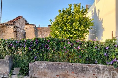 Byhus i Torres Novas, Santarem, Torres Novas - € 69.000 | Ref: 745510 - foto 18
