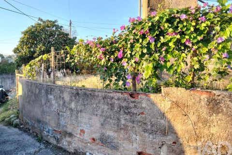 Byhus i Torres Novas, Santarem, Torres Novas - € 69.000 | Ref: 745510 - foto 20