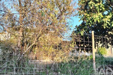 Byhus i Torres Novas, Santarem, Torres Novas - € 69.000 | Ref: 745510 - foto 27