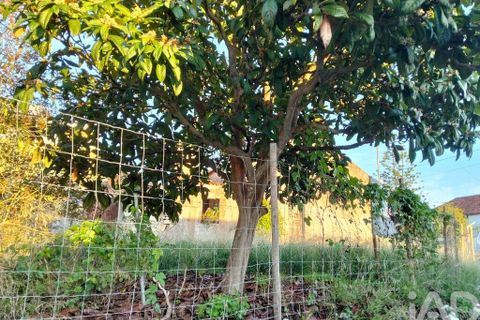 Byhus i Torres Novas, Santarem, Torres Novas - € 69.000 | Ref: 745510 - foto 33