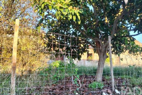 Byhus i Torres Novas, Santarem, Torres Novas - € 69.000 | Ref: 745510 - foto 34