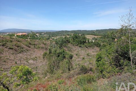 Helårsgrund i Tomar, Santarem, Tomar - € 90.000 | Ref: 750827 - foto 4
