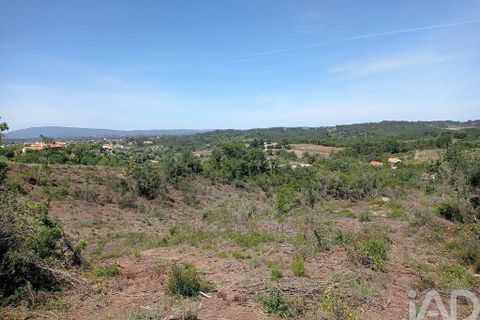 Helårsgrund i Tomar, Santarem, Tomar - € 90.000 | Ref: 750827 - foto 5