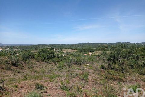 Helårsgrund i Tomar, Santarem, Tomar - € 90.000 | Ref: 750827 - foto 7