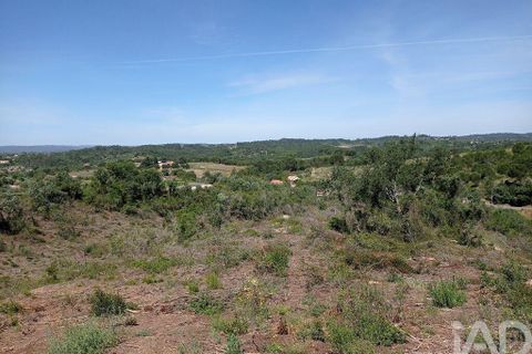 Helårsgrund i Tomar, Santarem, Tomar - € 90.000 | Ref: 750827 - foto 8