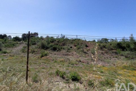 Helårsgrund i Tomar, Santarem, Tomar - € 90.000 | Ref: 750827 - foto 13