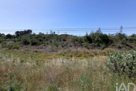 Helårsgrund i Tomar, Santarem, Tomar - € 90.000 | Ref: 750827 - foto 14