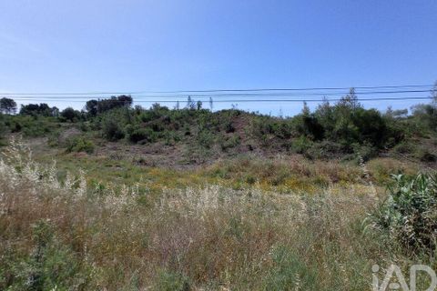 Helårsgrund i Tomar, Santarem, Tomar - € 90.000 | Ref: 750827 - foto 15