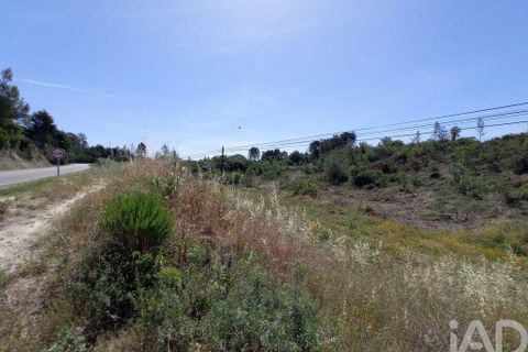 Helårsgrund i Tomar, Santarem, Tomar - € 90.000 | Ref: 750827 - foto 16