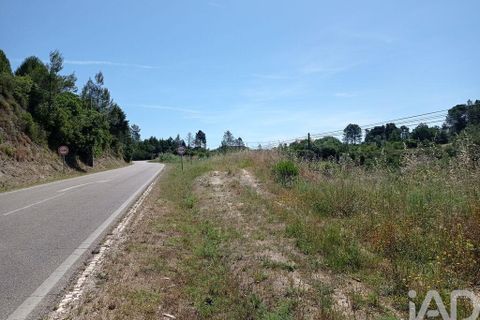 Helårsgrund i Tomar, Santarem, Tomar - € 90.000 | Ref: 750827 - foto 17