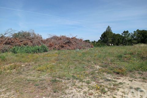 Helårsgrund i Tomar, Santarem, Tomar - € 90.000 | Ref: 750827 - foto 18