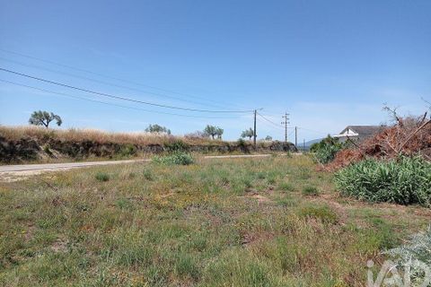 Helårsgrund i Tomar, Santarem, Tomar - € 90.000 | Ref: 750827 - foto 20