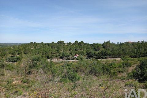 Helårsgrund i Tomar, Santarem, Tomar - € 90.000 | Ref: 750827 - foto 23