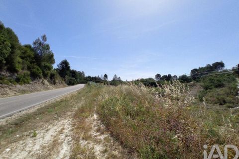 Helårsgrund i Tomar, Santarem, Tomar - € 90.000 | Ref: 750827 - foto 26
