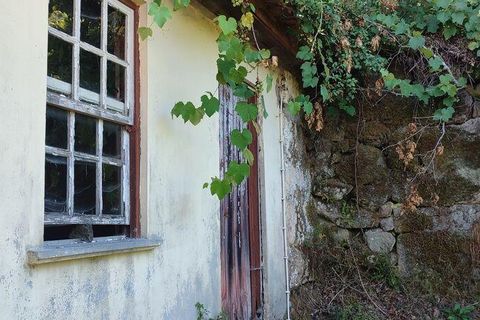 Byhus i Sao Pedro do Sul, Viseu, Sao Pedro do Sul - € 55.000 | Ref: 746857 - foto 3