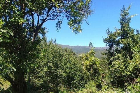 Byhus i Sao Pedro do Sul, Viseu, Sao Pedro do Sul - € 55.000 | Ref: 746857 - foto 8