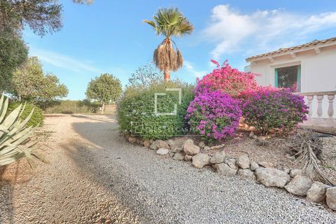 Landejendom i Llucmajor, Mallorca, Llucmajor - € 2.000.000 | Ref: MAL62906 - foto 23