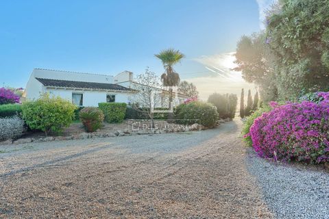 Landejendom i Llucmajor, Mallorca, Llucmajor - € 2.000.000 | Ref: MAL62906 - foto 24