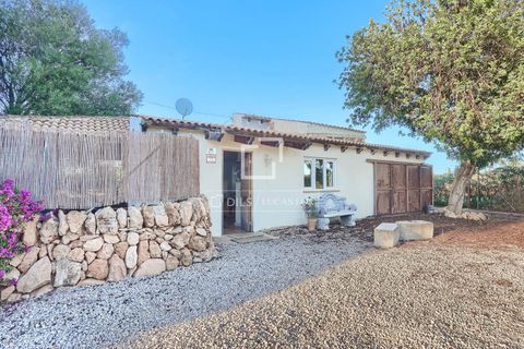 Landejendom i Llucmajor, Mallorca, Llucmajor - € 2.000.000 | Ref: MAL62906 - foto 25